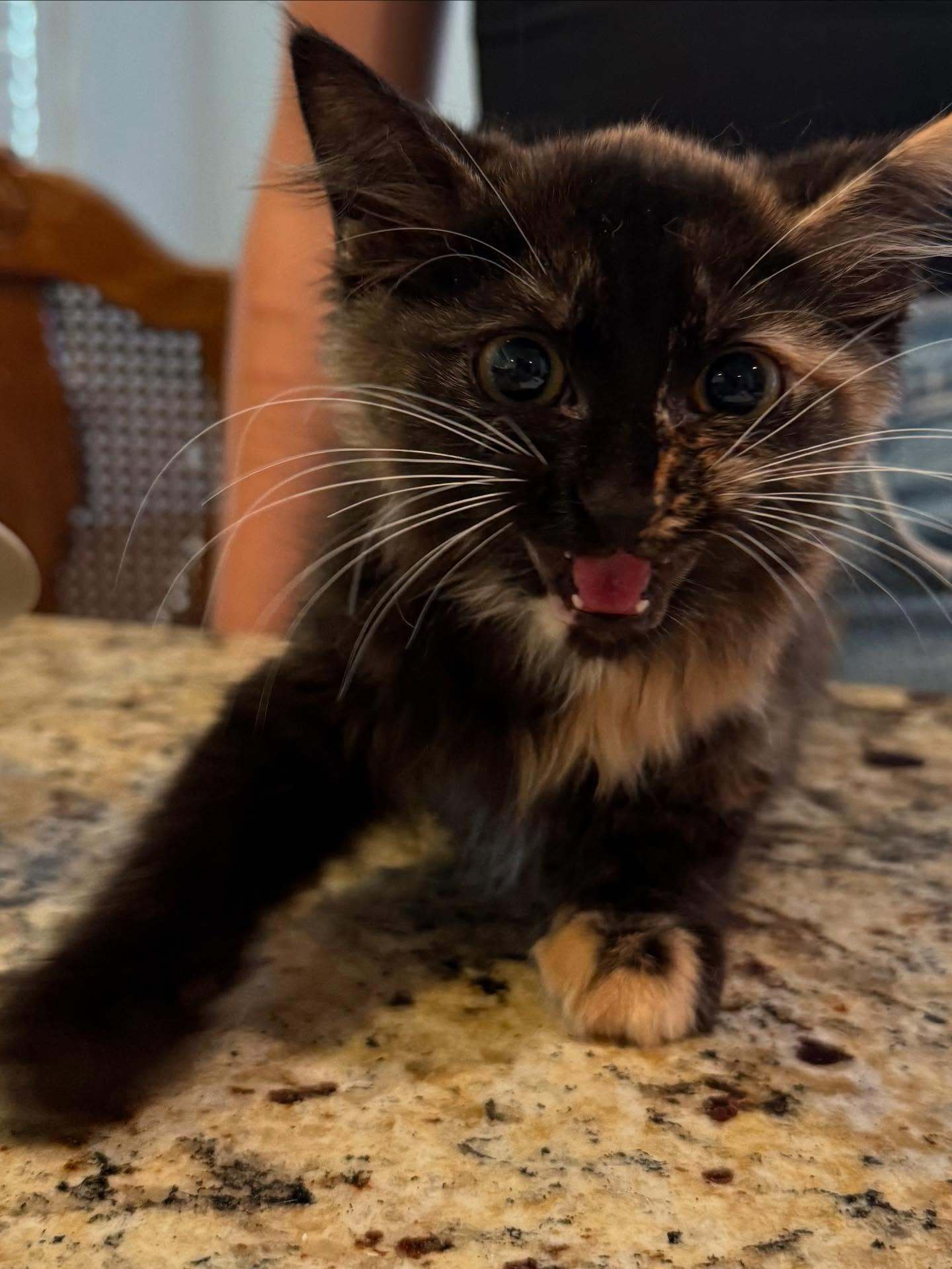 Jala