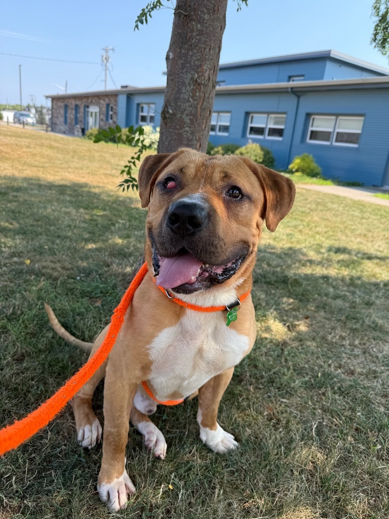 Ernie