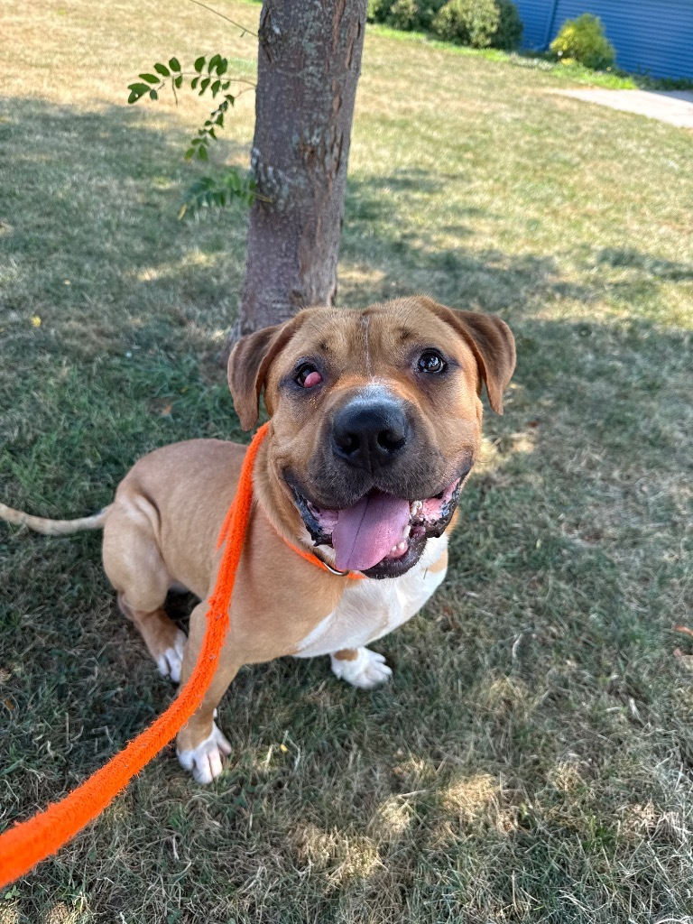 Ernie