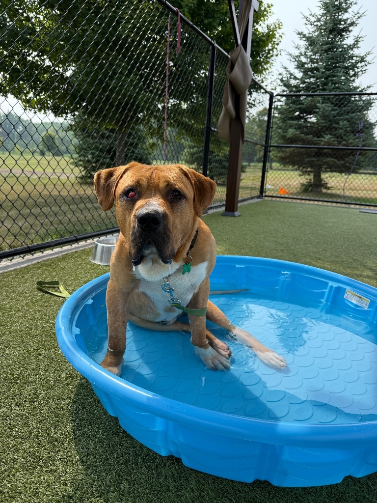 Ernie