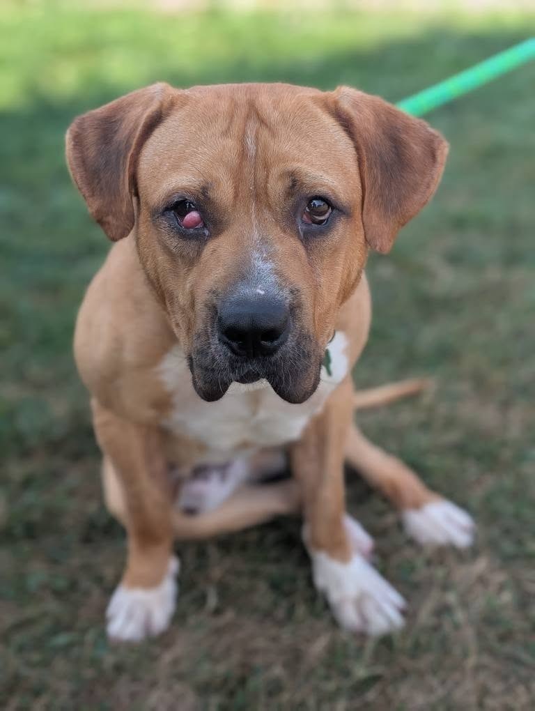 Ernie