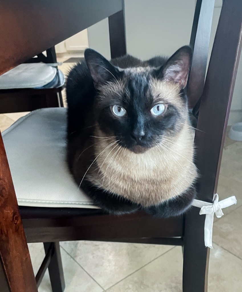 Prince