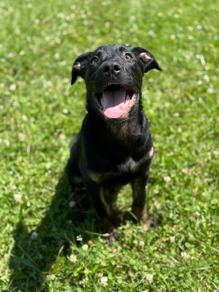 Boris