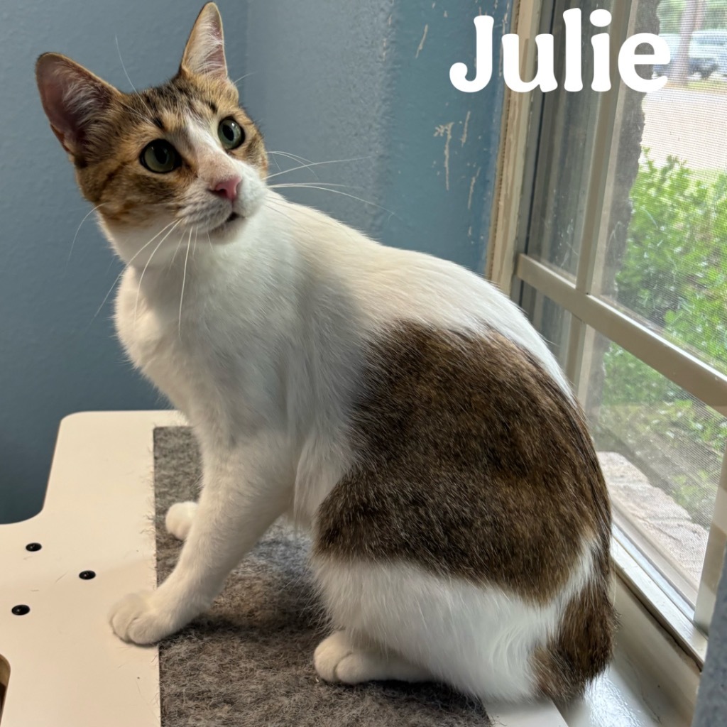 Julie