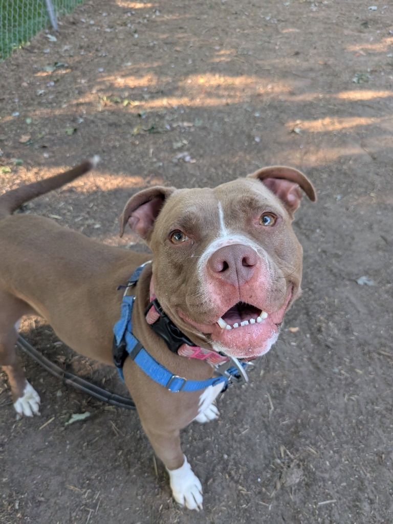 Coco