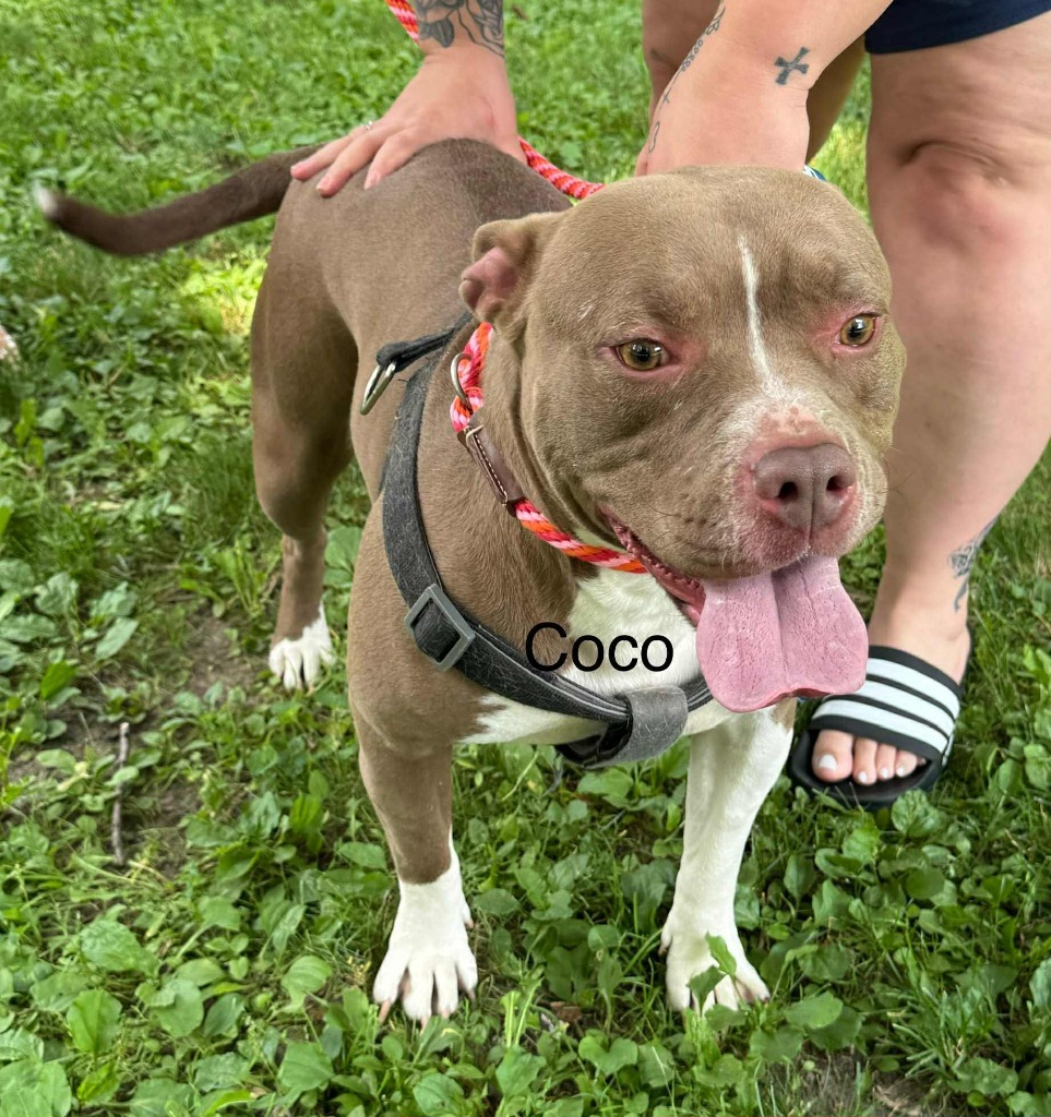 Coco