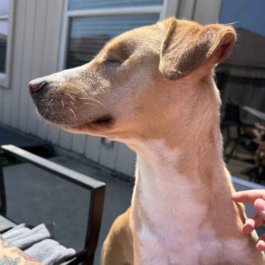 Lilly