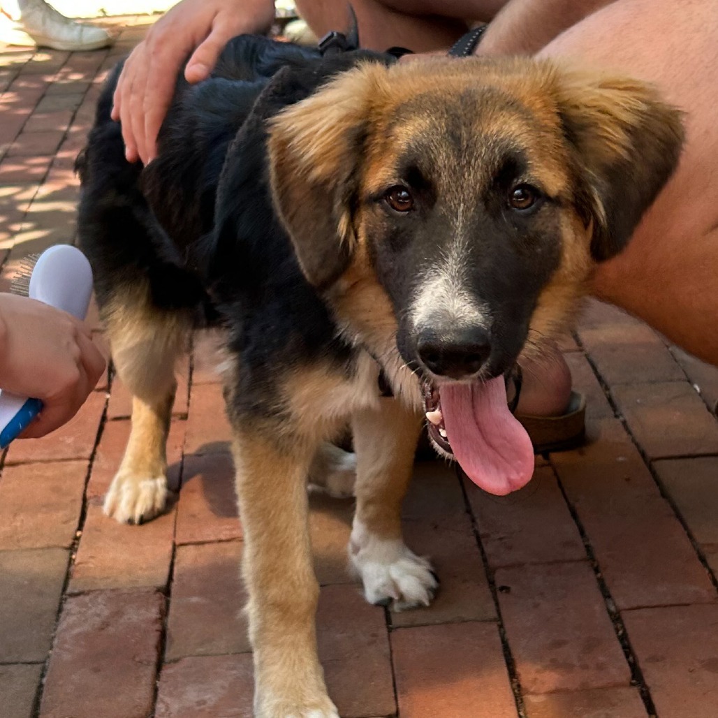 Sadie Mae