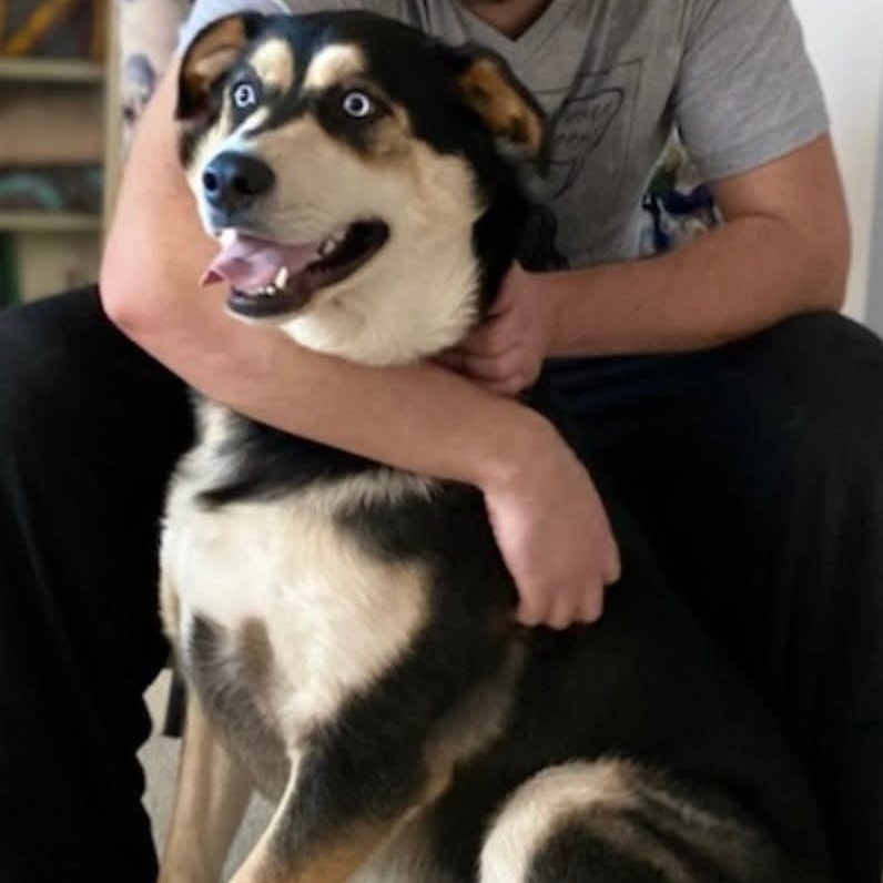 Bo
