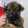 Freya photo 1