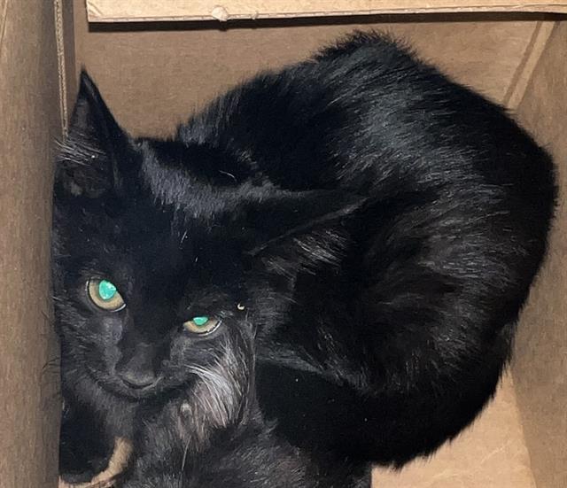 SALEM