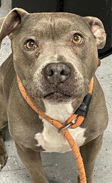 Xena