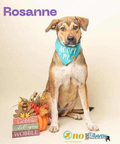 Rosanne