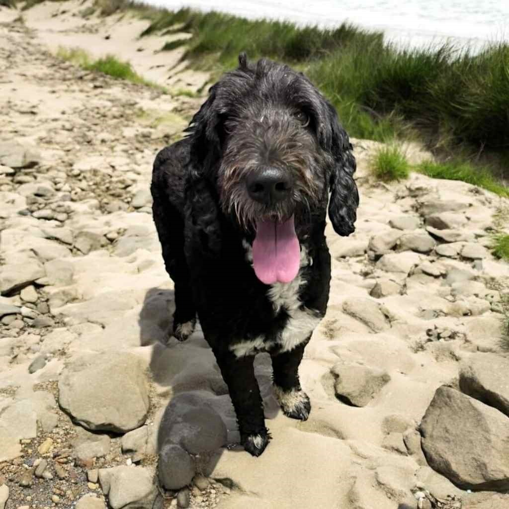 Max