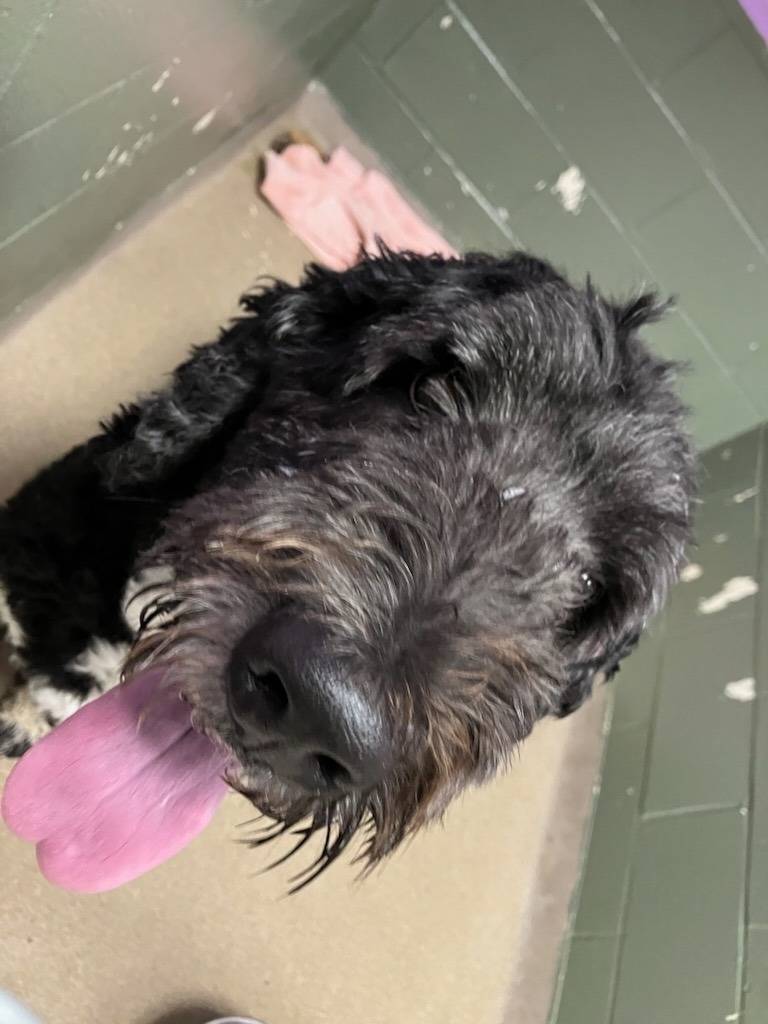 Max