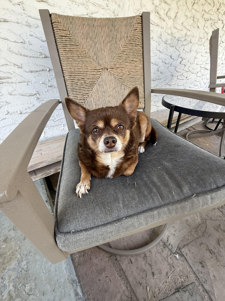 Skye