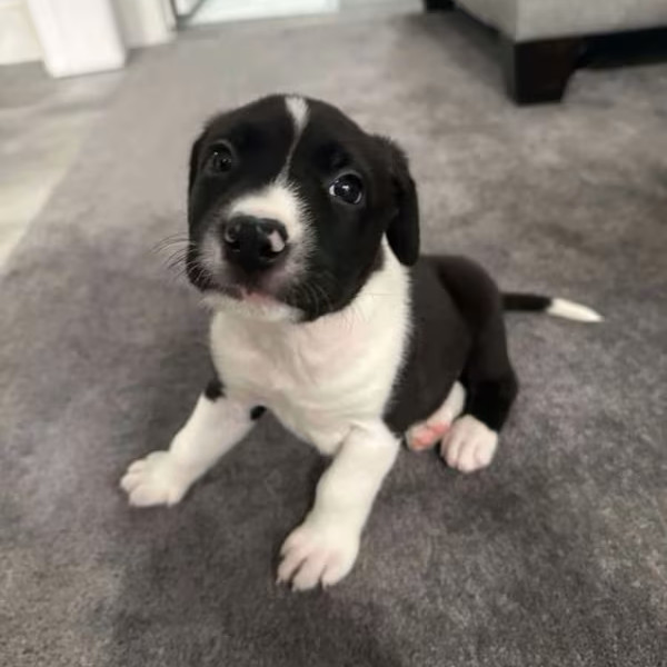 Winnie