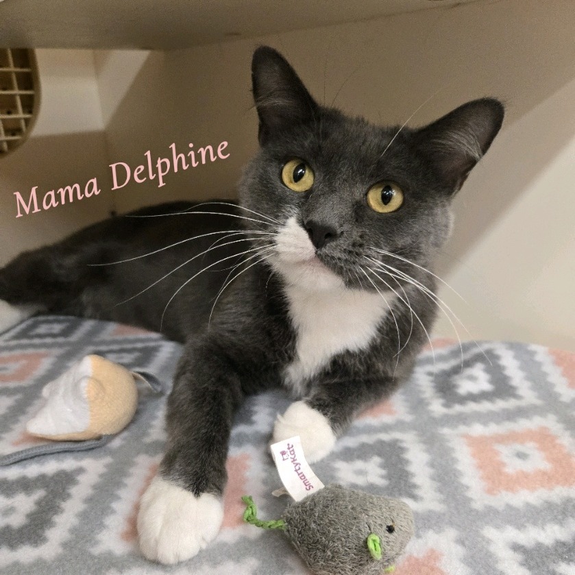 Mama Delphine