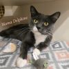 Mama Delphine photo 1