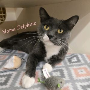 Mama Delphine, Adult Female unknown