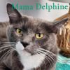 Mama Delphine photo 3