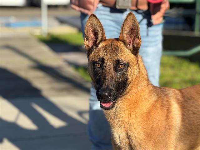 LULU