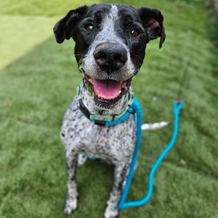 Ellie Mae 1
