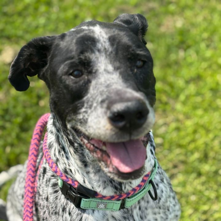 Ellie Mae 3