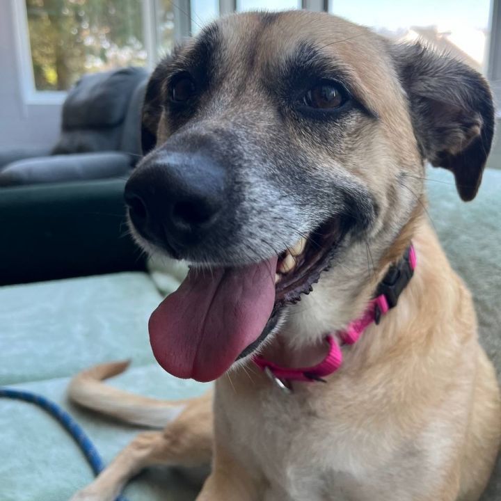 Sadie 1