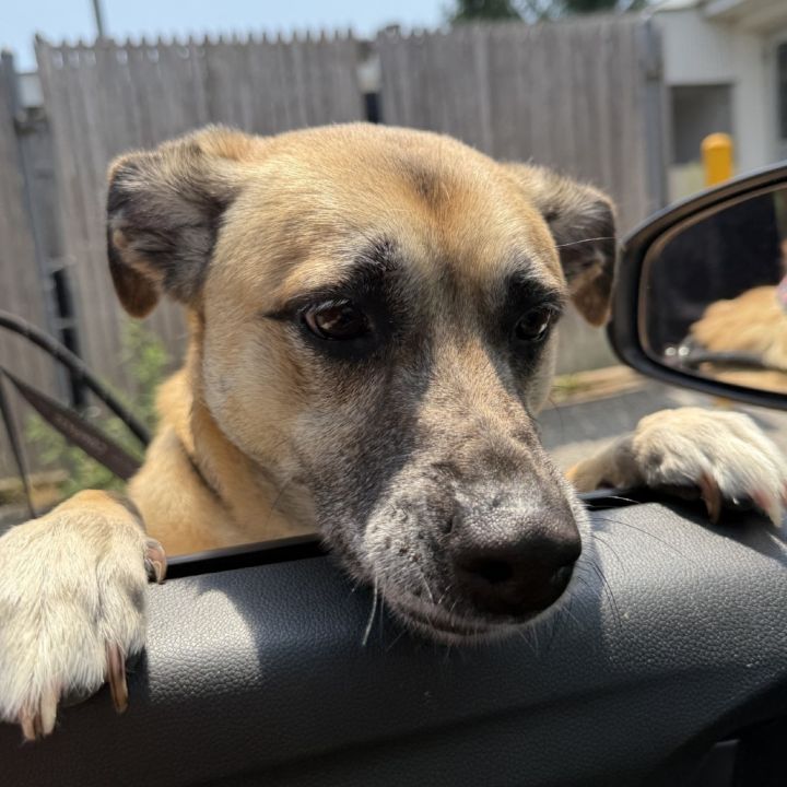 Sadie 3