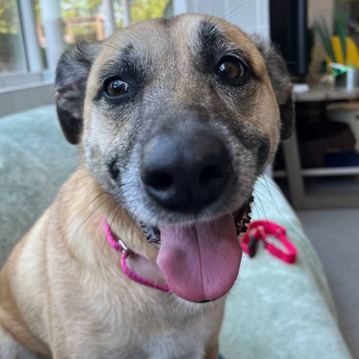 Sadie 5