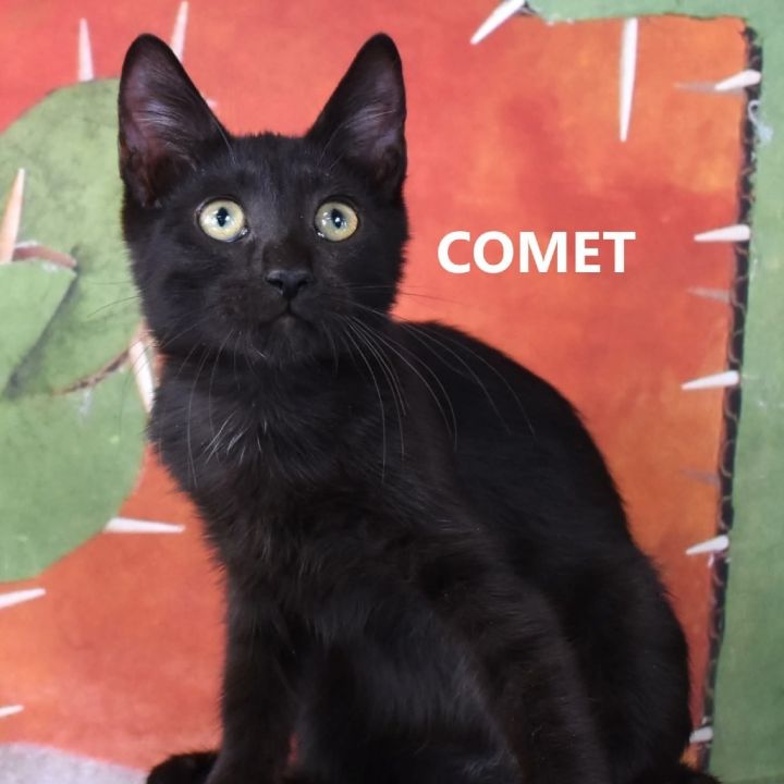 Comet 1