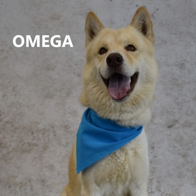 Omega