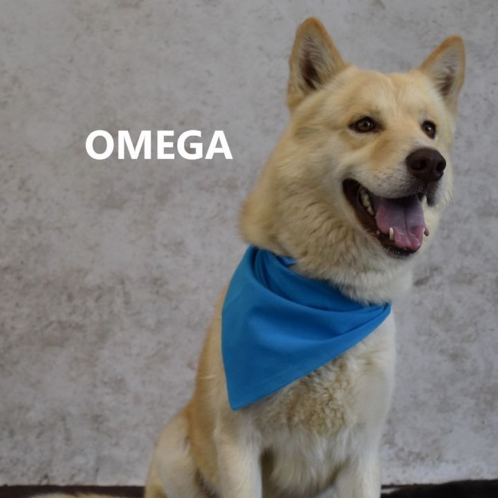 Omega 2