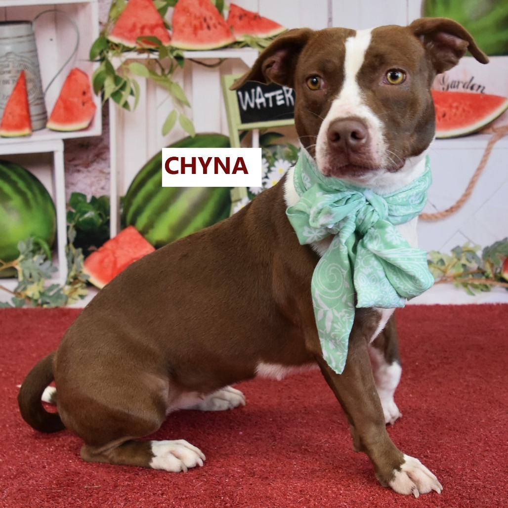 Chyna