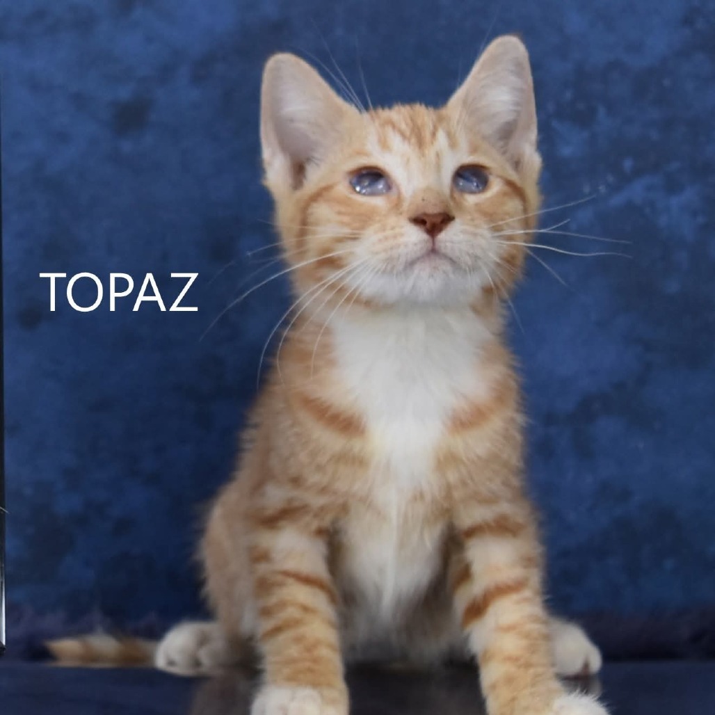 Topaz
