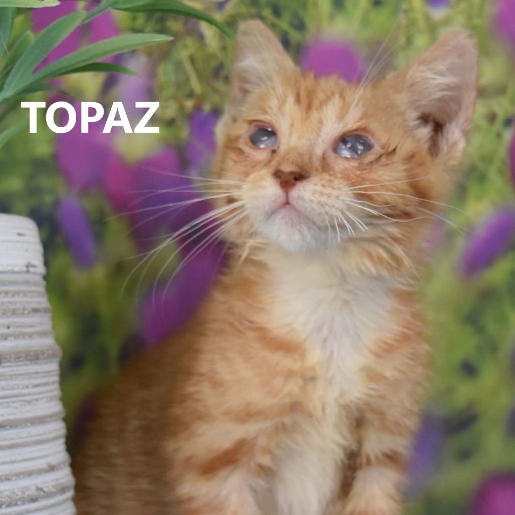 Topaz
