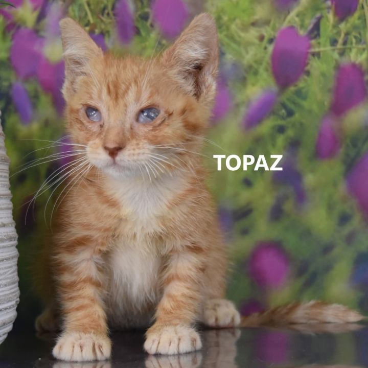 Topaz 3