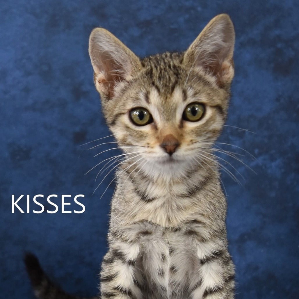 kisses