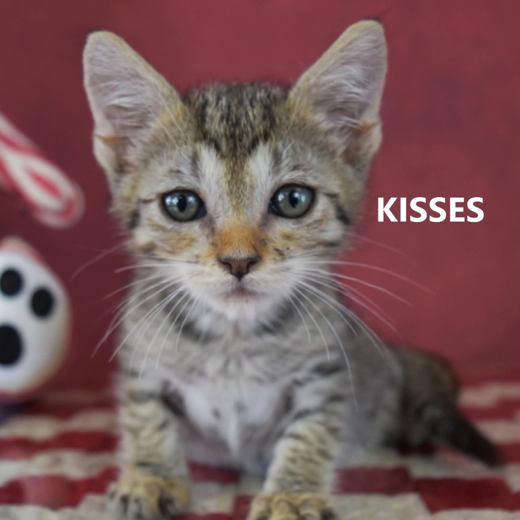 kisses