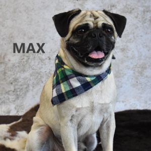 Max