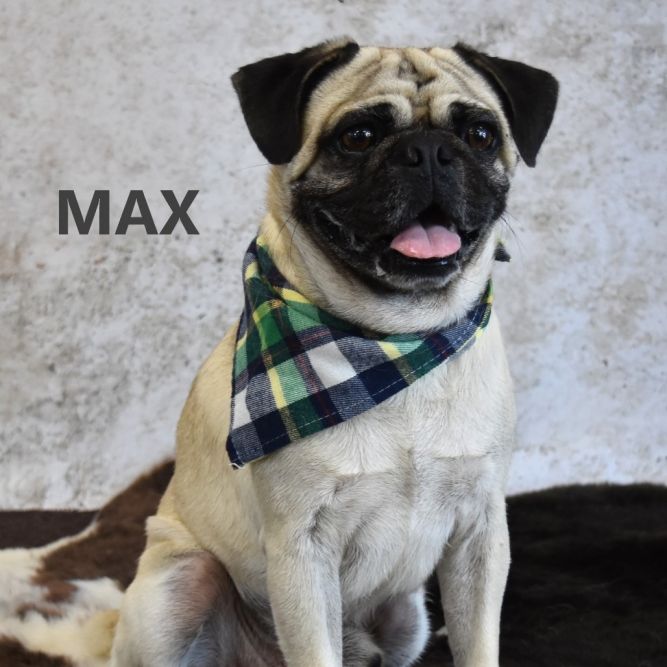 Max