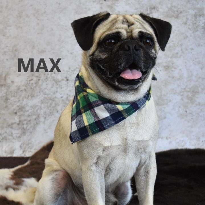 Max 1