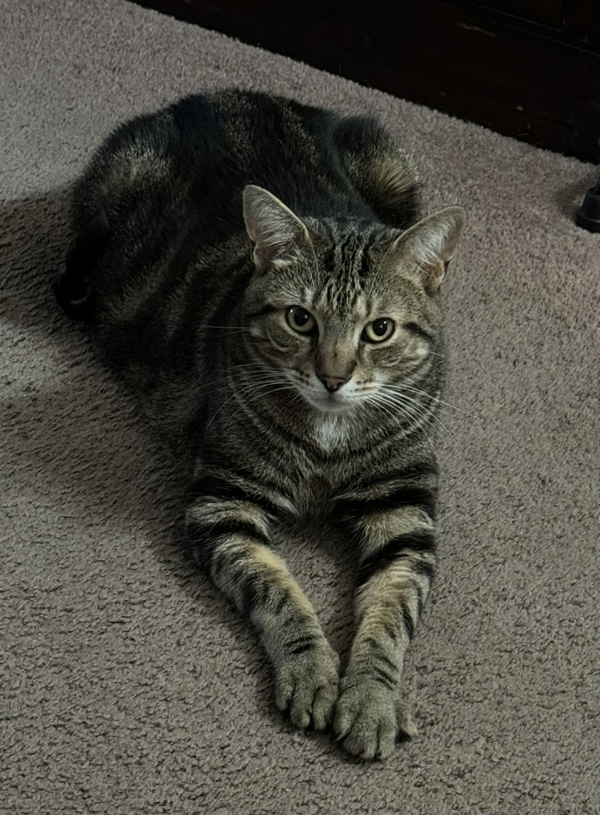 Luca