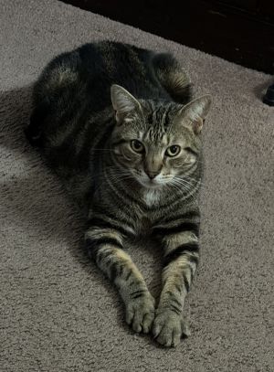 Luca