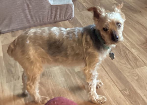 Edith Ann  Fairfield