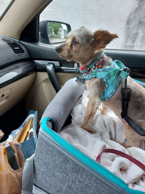 Edith Ann  Fairfield thumbnail 3