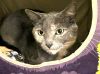 47591 - Missy photo 2