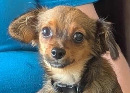 Barry