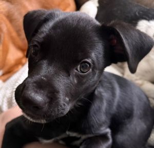 Benjamin Button, Baby Male unknown